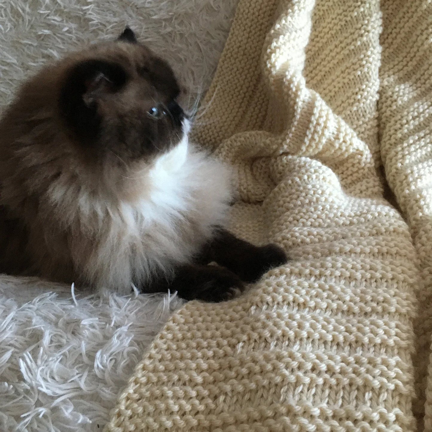 Easy Throw Blanket Knitting Pattern