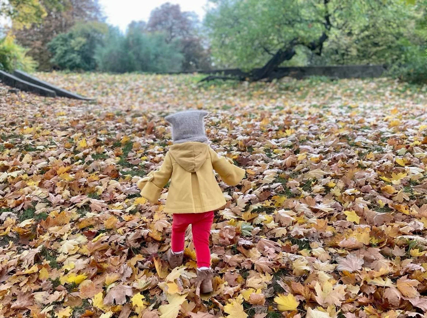 Kitty Ear Baby Bonnet Knitting Pattern