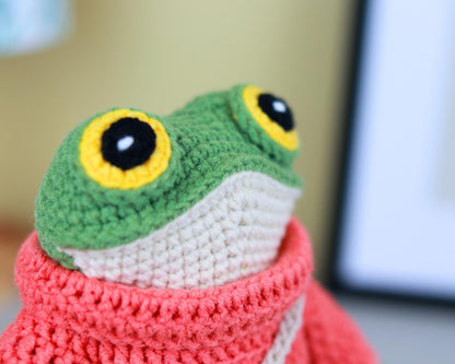 Frog with Sweater, Sneakers, and Bag Crochet Pattern