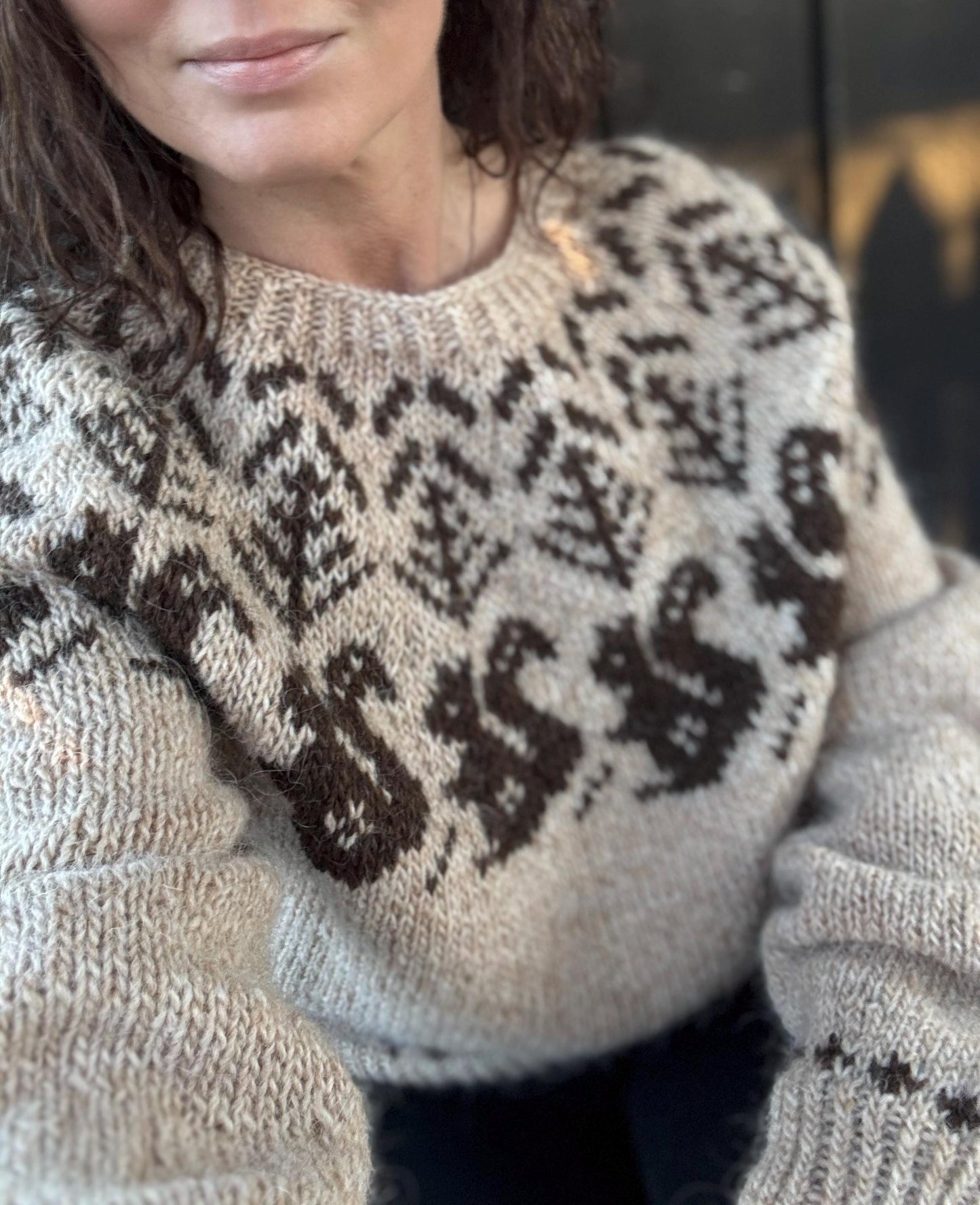 Squirrel Motif Sweater Knitting Pattern