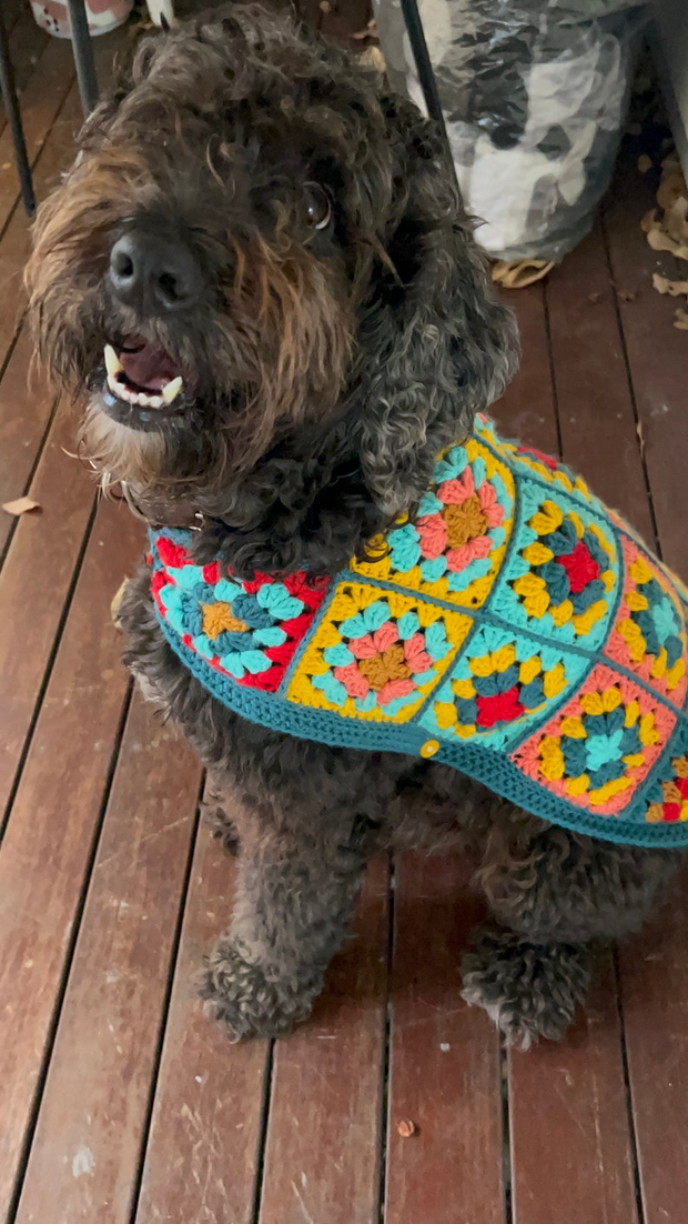 Granny Square Dog Sweater Crochet Pattern