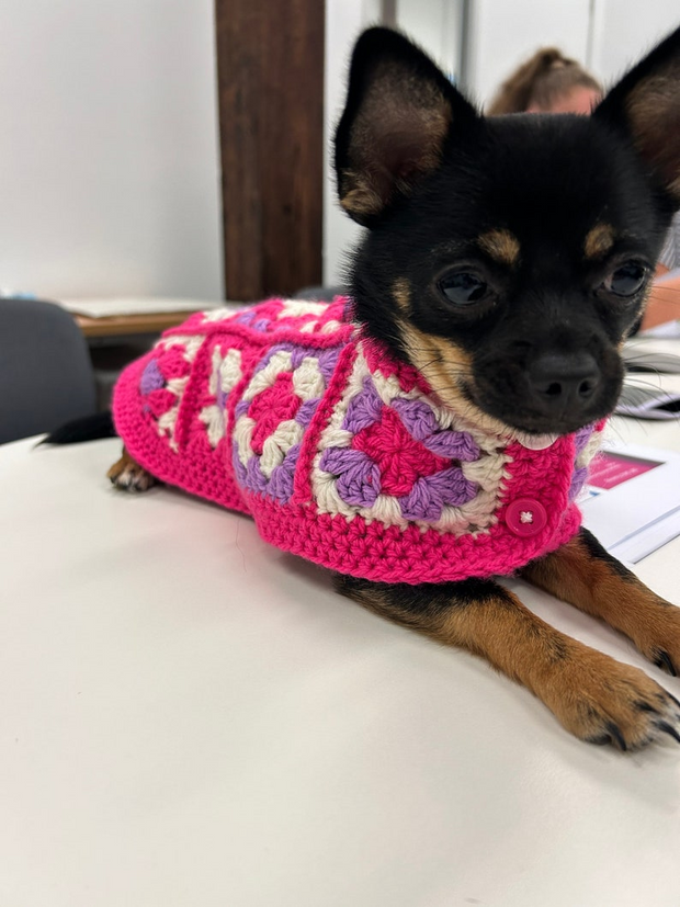 Granny Square Dog Sweater Crochet Pattern